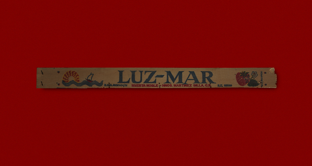 LUZ MAR-1.png