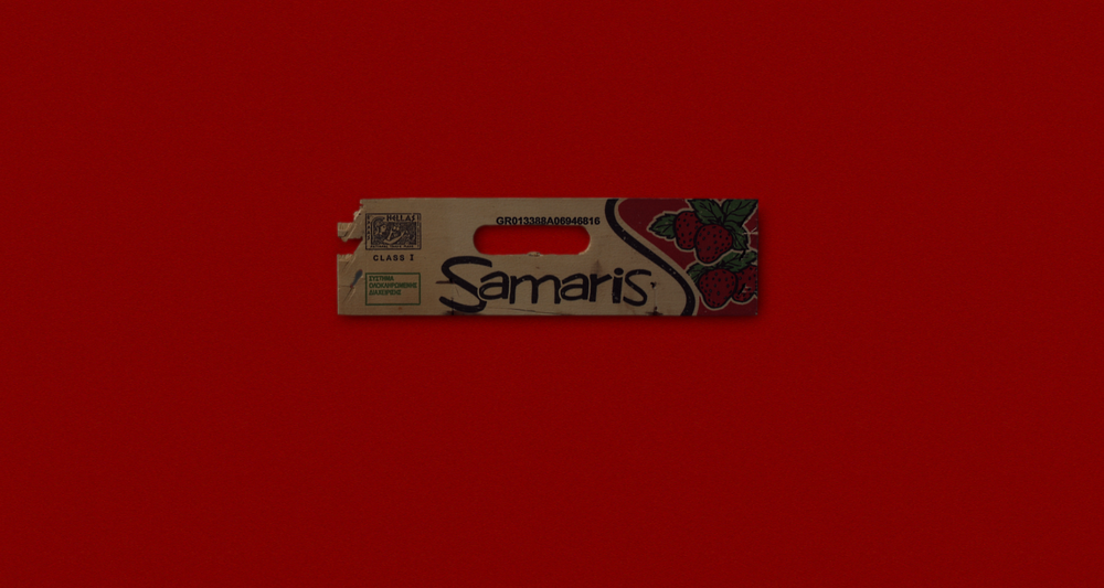 Samaris-2-2.png
