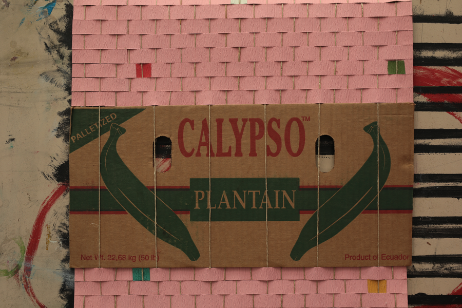 CALYPSO 2.png