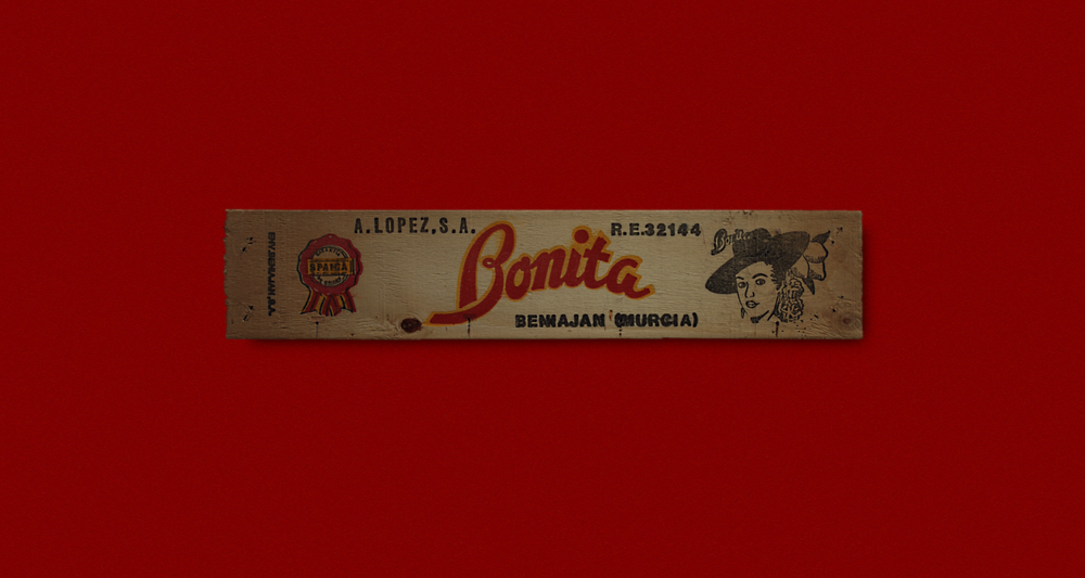 Bonita-2.png
