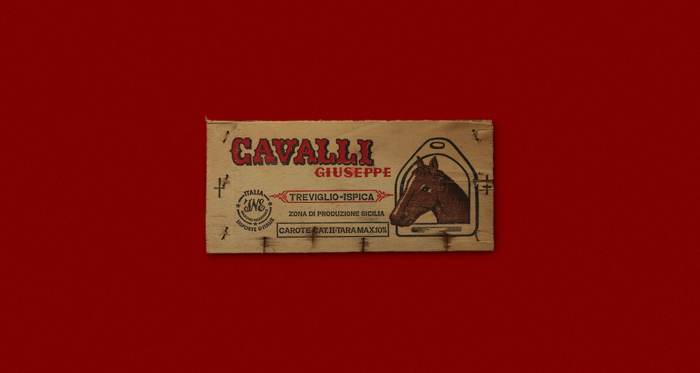 CAVALLI-3.png