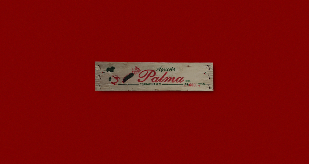 Palma-2.png