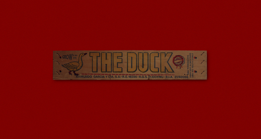 THE DUCK.png